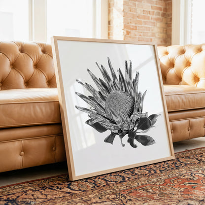 Protea (Tonal Edition) Print
