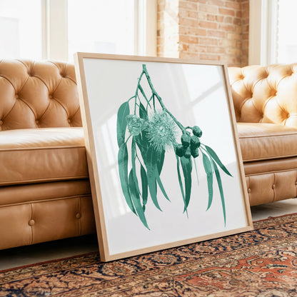 Eucalypt (Mineral Sage) Print