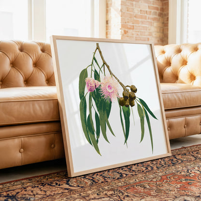 Eucalypt (Soft Ember) Print