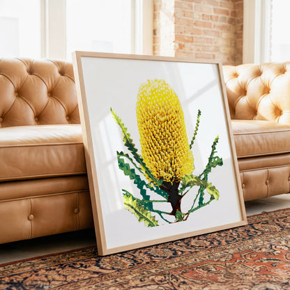 Banksia (Coastal Gold) Print