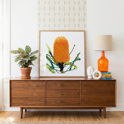 Banksia (Sunset Flame) Print