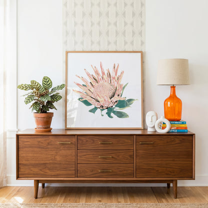 Protea (Blush Dusk) Print