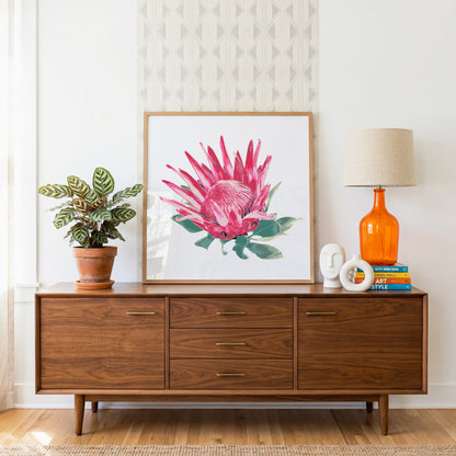 Protea (Soft Bloom) Print