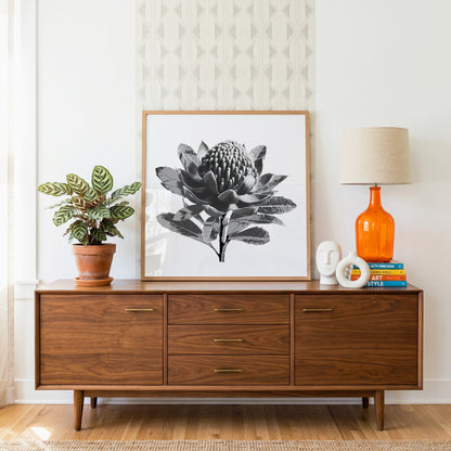 Waratah (Tonal Edition) Print