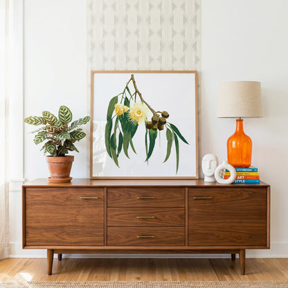 Eucalypt (Golden Haze) Print