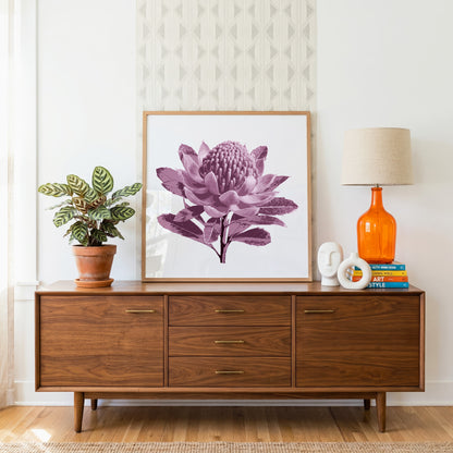 Waratah (Dusty Plum) Print