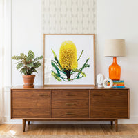 Banksia (Coastal Gold) Print