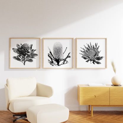 Tonal (Trio) Print