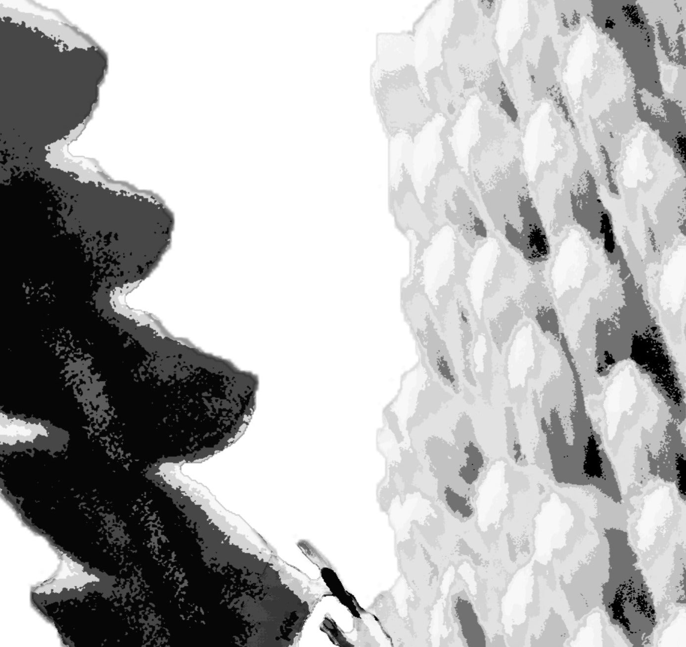 Tonal (Trio) Print