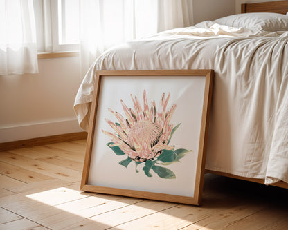 Protea (Blush Dusk) Print