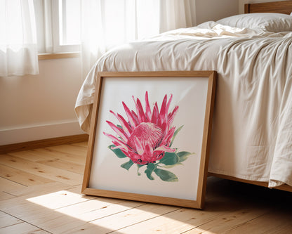 Protea (Soft Bloom) Print