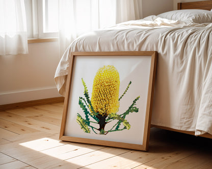 Banksia (Coastal Gold) Print