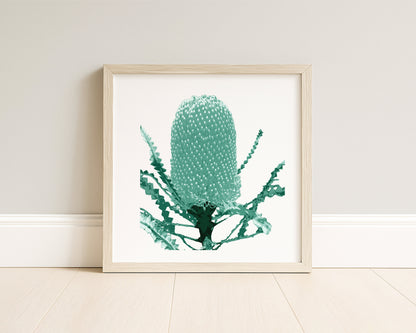Banksia (Mineral Sage) Botanica Mini™ Print (20x20cm)