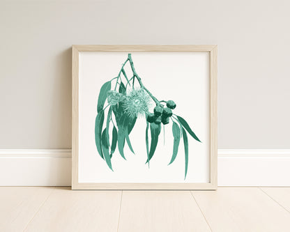 Eucalypt (Mineral Sage) Botanica Mini™ Print (20x20cm)