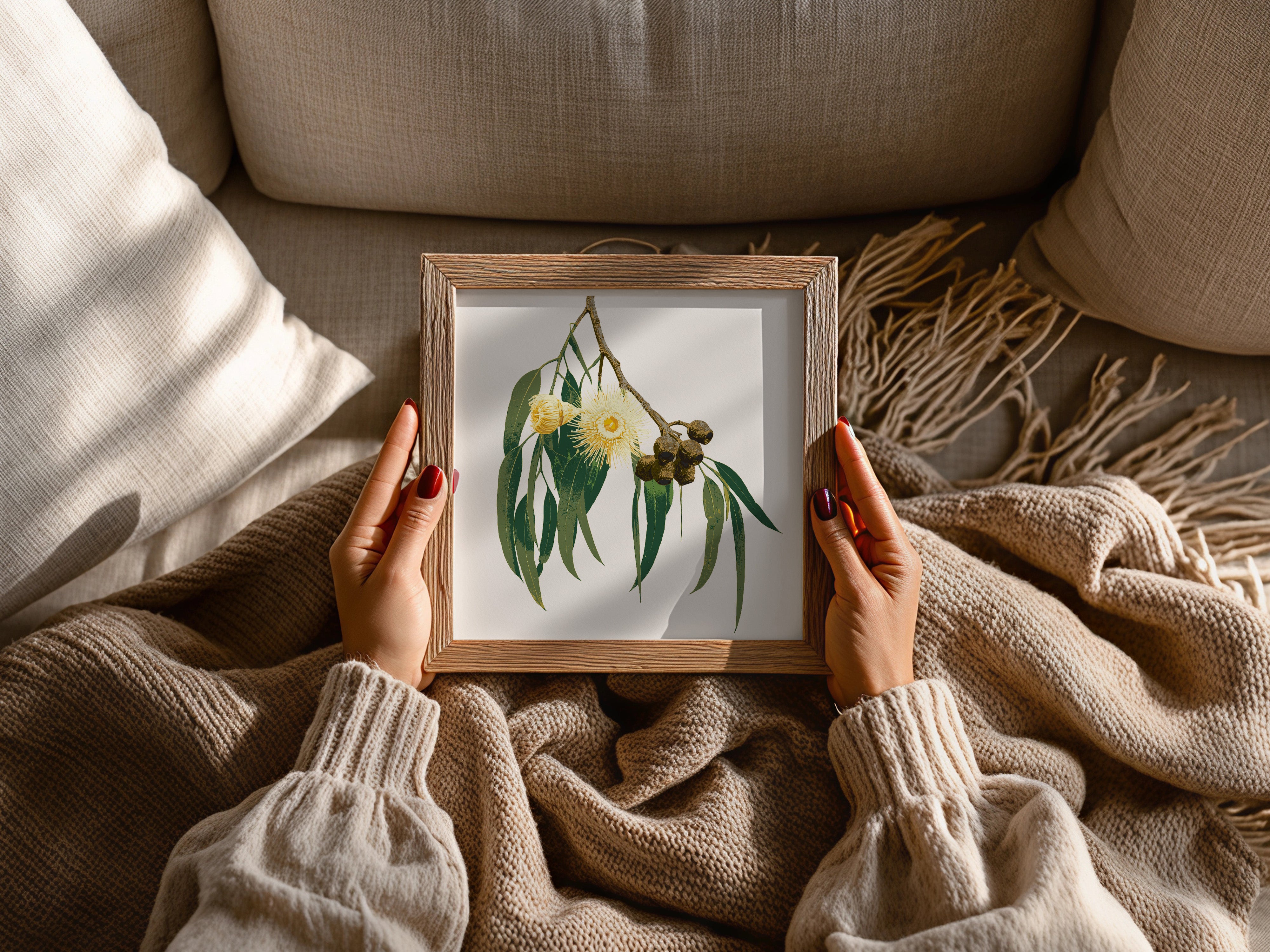 Eucalypt (Golden Haze) Botanica Mini™ Print (20x20cm)
