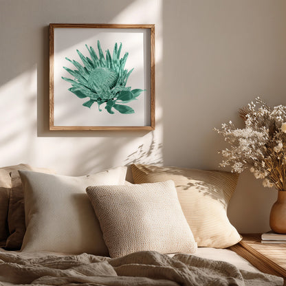 Protea (Mineral Sage) Print