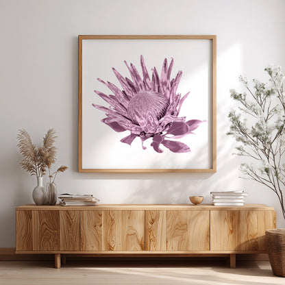 Protea (Dusty Plum) Print