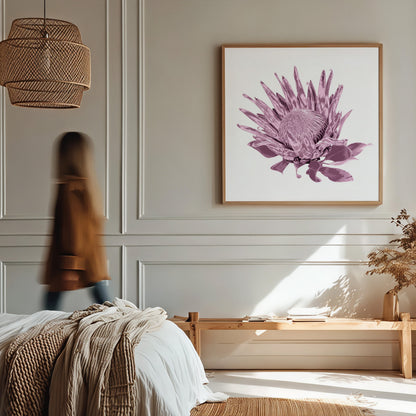 Protea (Dusty Plum) Print