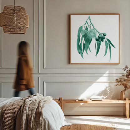 Eucalypt (Mineral Sage) Print