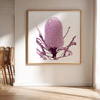 Banksia (Dusty Plum) Print