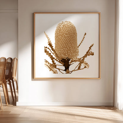 Banksia (Warm Earth) Print
