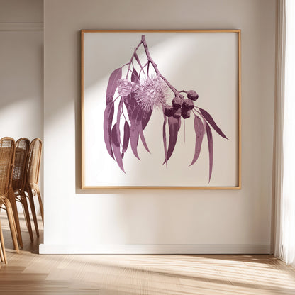 Framed botanical print of eucalyptus leaves and flowers on a wall in a room with wicker chairs.