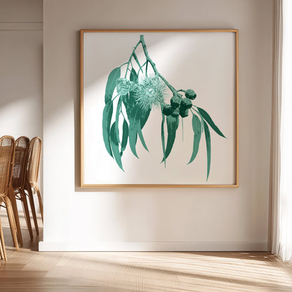 Eucalypt (Mineral Sage) Print