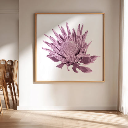 Protea (Dusty Plum) Print