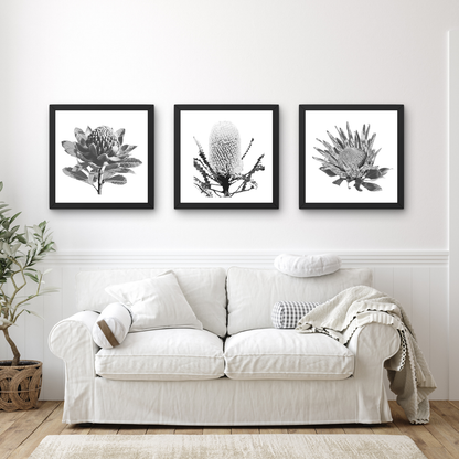 Tonal (Trio) Print