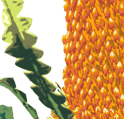 Banksia (Sunset Flame) Print