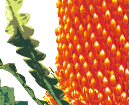 Banksia (Burnt Ember) Print