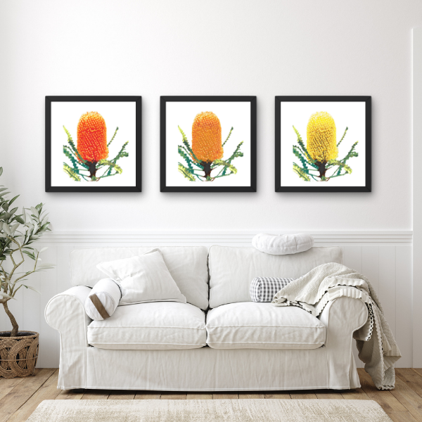 Banksia (Trio) Print