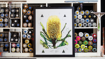 Banksia (Studio Proof)