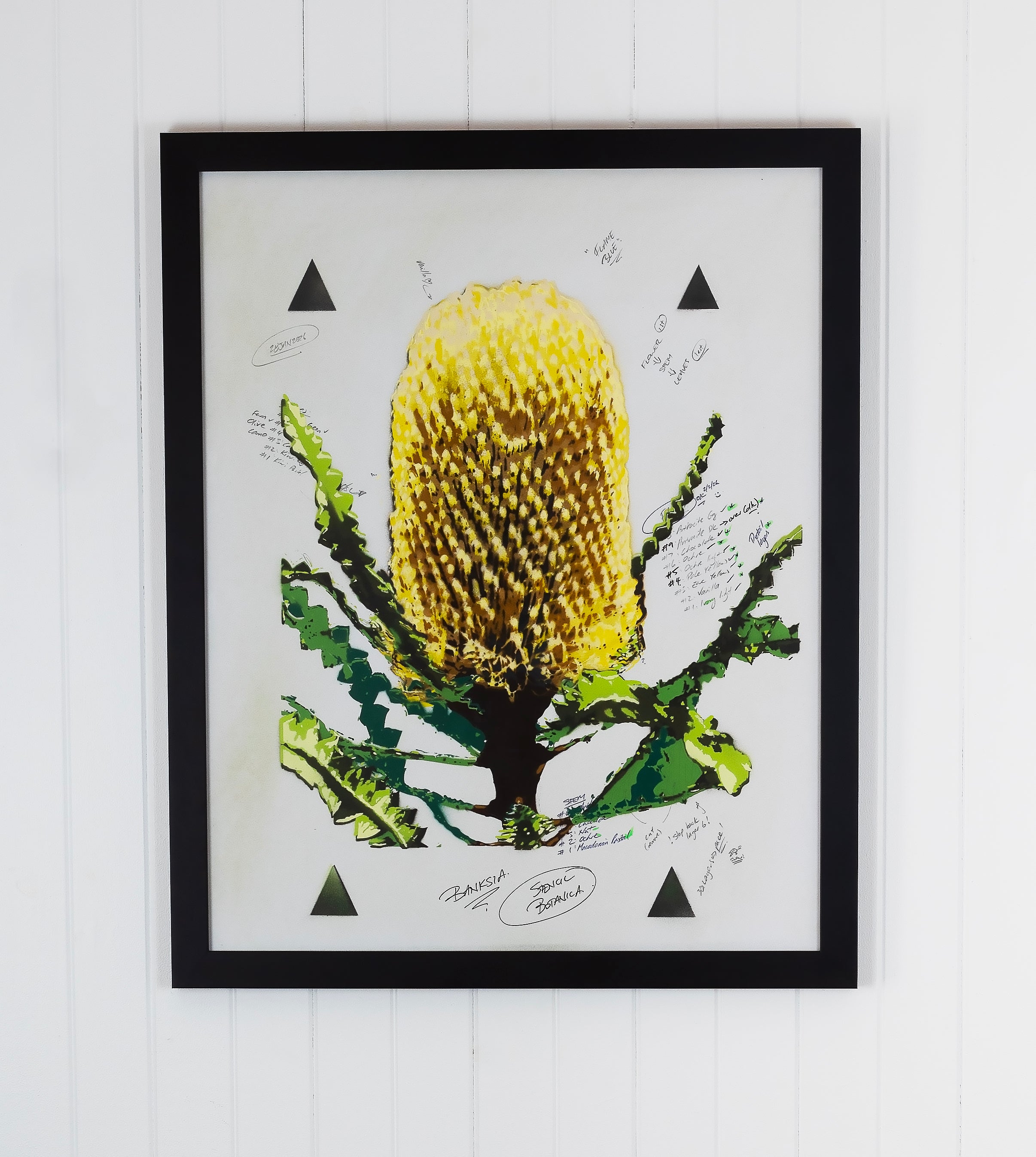 Banksia (Studio Proof)
