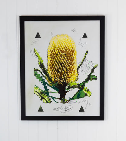 Banksia (Studio Proof)