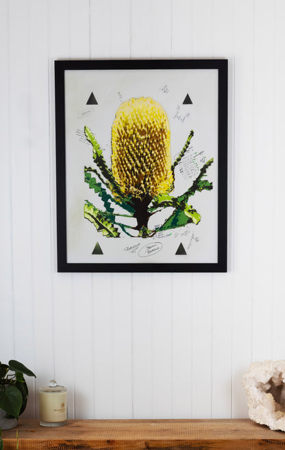 Banksia (Studio Proof)