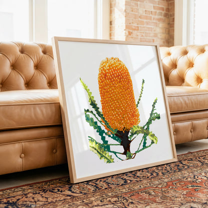 Banksia (Sunset Flame) Print