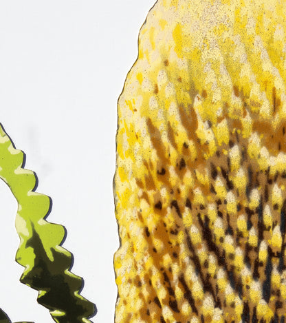Banksia (Framed Original)
