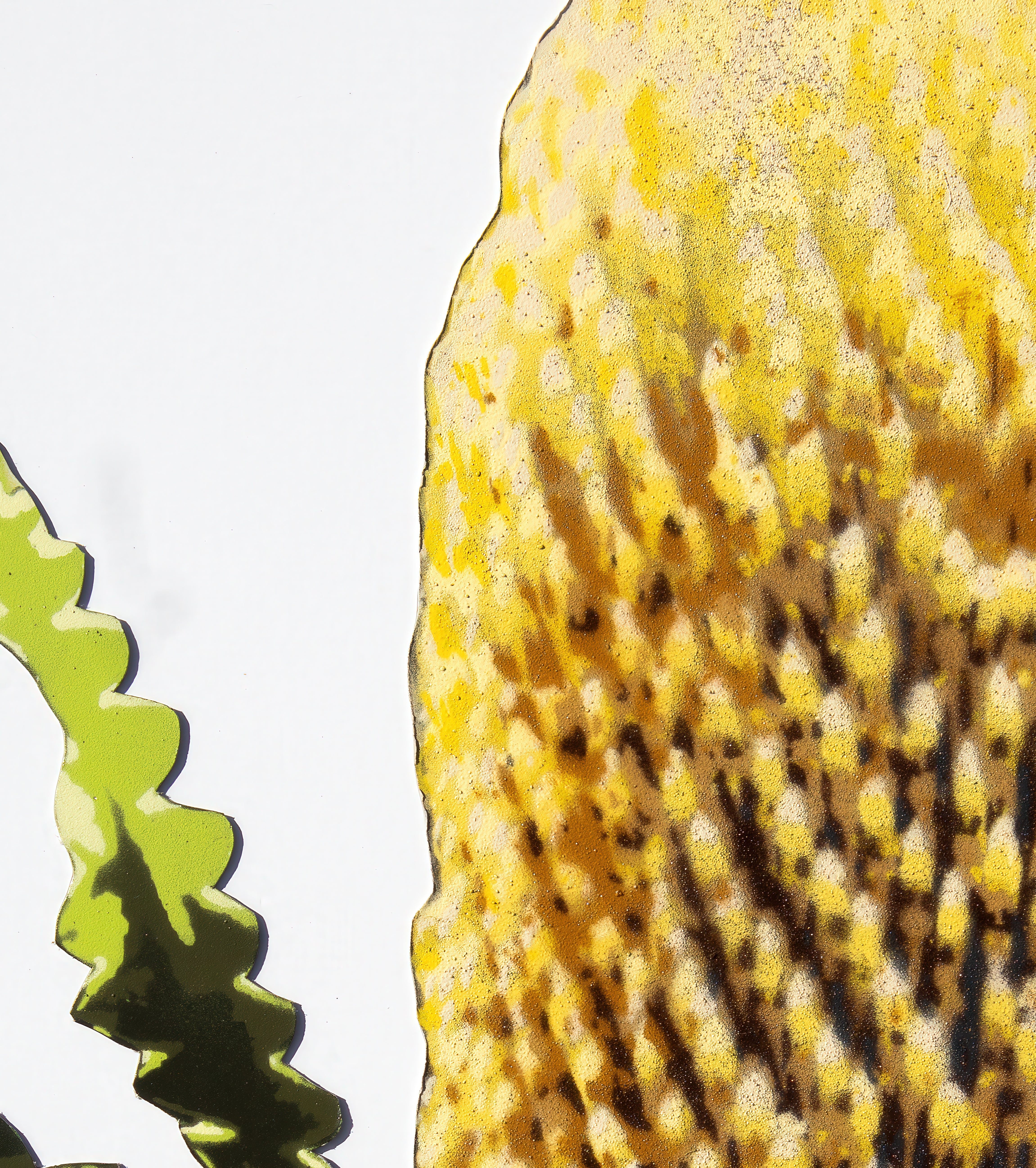 Banksia (Framed Original)