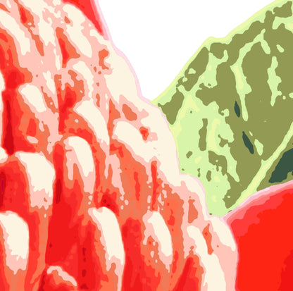 Waratah (Ember Bloom) Print